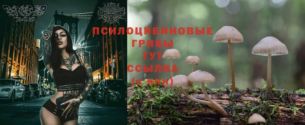 гидропоника Алексеевка