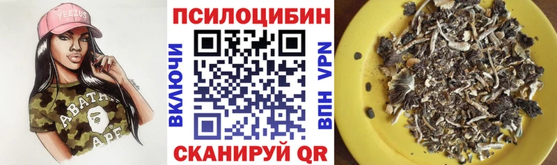Псилоцибиновые грибы Psilocybe  хочу   Зарайск 